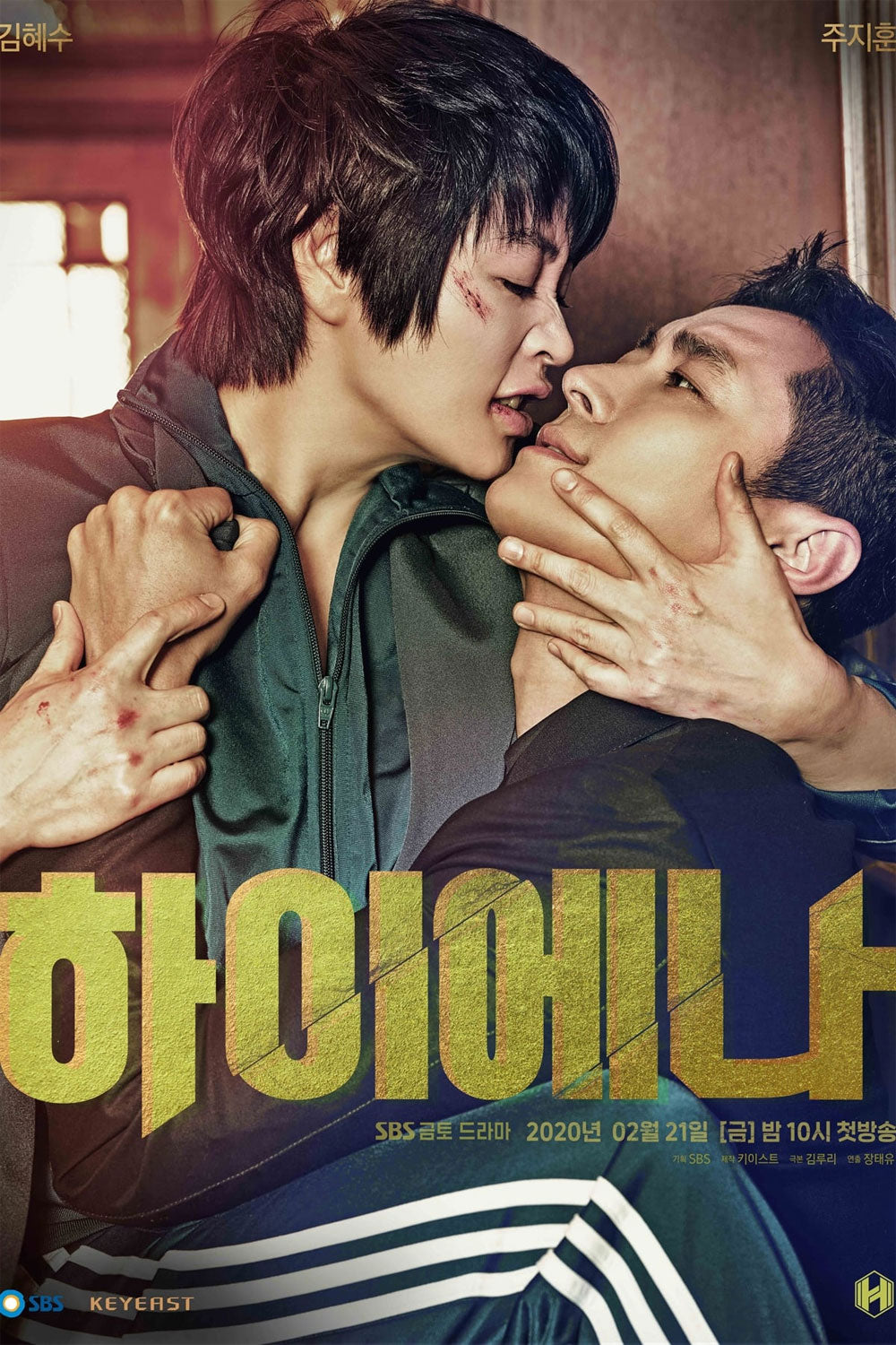 【韓国ドラマ】ハイエナ -弁護士たちの生存ゲーム-